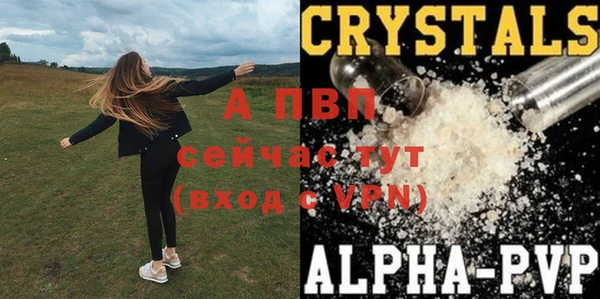 мяу мяу мука Дмитриев
